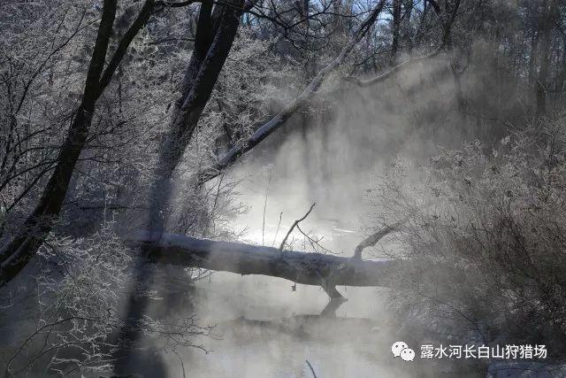 服务民生 传递关爱——厦门发布《一老一小》家政服务标准