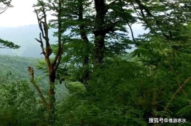 索菲亚清洁公园