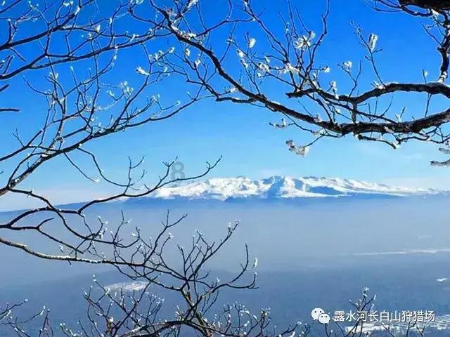 美国大选恐被AI搅局？深度伪造拜登来电以假乱真