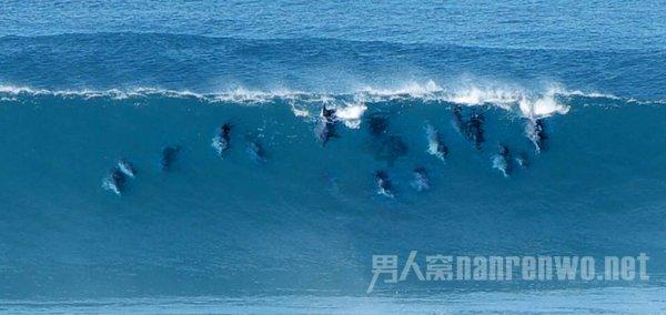 聊城市残疾人“两项补贴”线上、线下都可申领