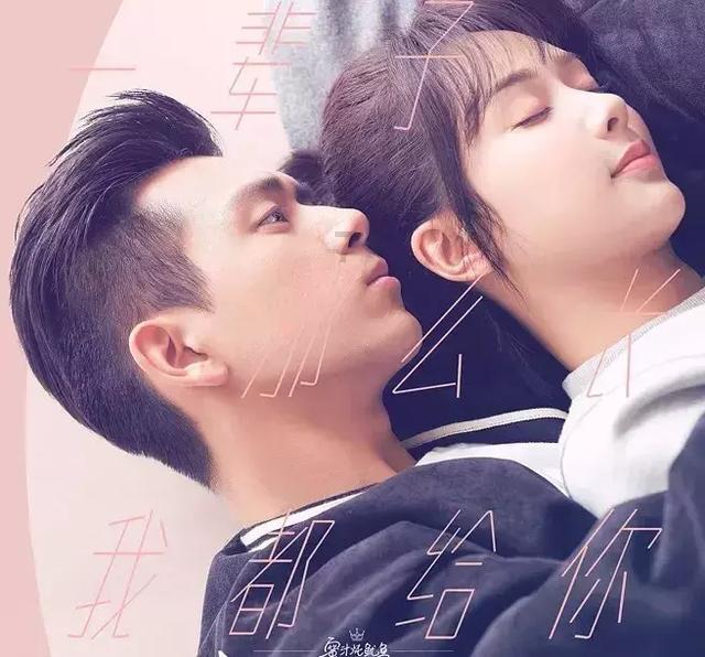 1月19日贝莱德中国新视野混合A净值0.5527元,下跌0.32%
