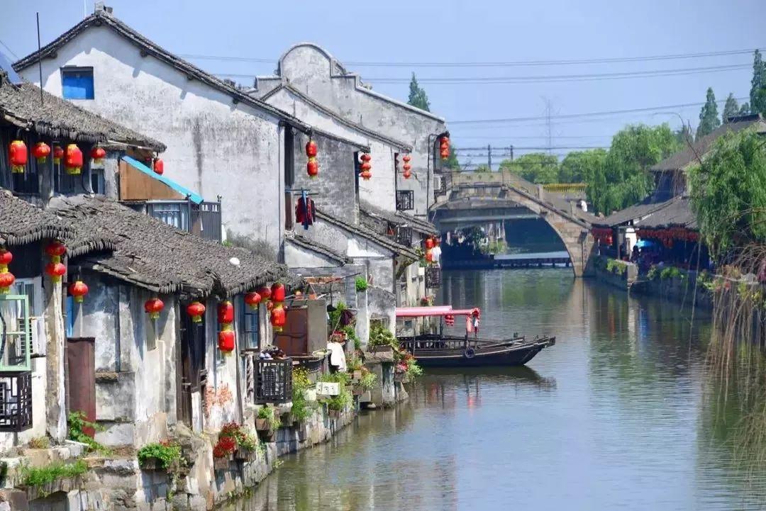细胞分裂4