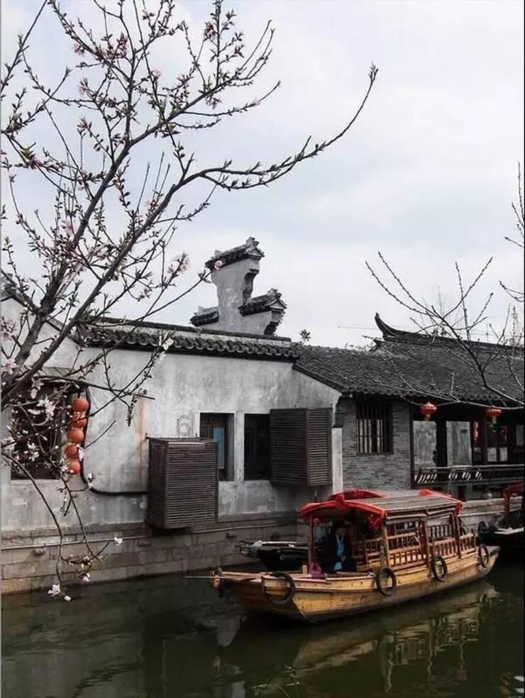 植物大战僵尸8