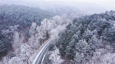 2024全省两会特别报道 两会声音|张忠凯委员 发挥辐射效应 让“冷”冰雪持续“热”起来